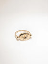 The Aiolos Ring