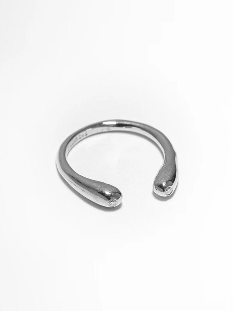 The Eros Ring
